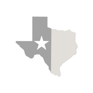 texas bill on medicaid life settlement